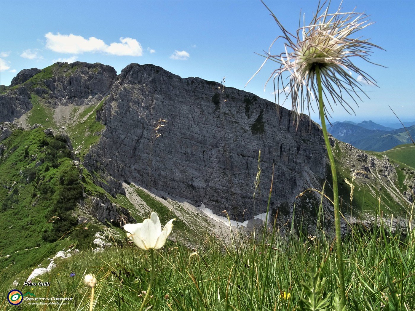 62 Pulsatilla alpina 'spettinata' per lo Zucco Barbesino.JPG